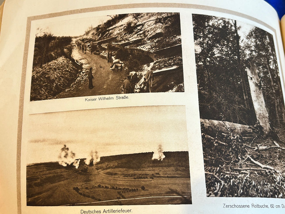 Thumbnail: WW1 German Campaign photo book (G599)