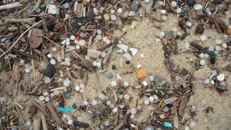 Plastic Pellets: Spanish Catastrophe