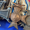 Thumbnail: WW1 German Veteran Medal Group (G908)