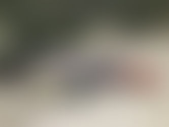 Replica Assault Rifle Spotlight: The WW2 German StG44 / MP44 by Denix.