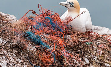 Towards an Equitable Approach to Marine Plastic Pollution