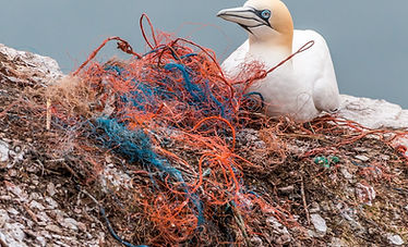 Towards an Equitable Approach to Marine Plastic Pollution