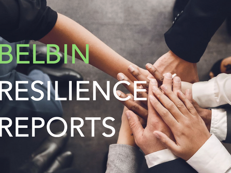 Belbin Resilience Reports