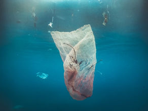 What’s really happening beneath the Ocean surface? 