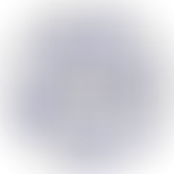 Forever Chemicals: Damaging the Environment and Your Body