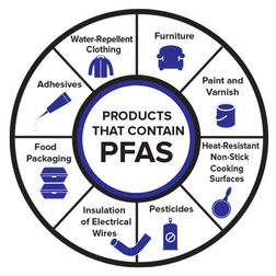 Forever Chemicals: Damaging the Environment and Your Body