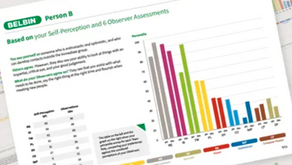 Belbin and self‑awareness: the key to higher-performing teams