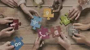 What Really Makes Teams Tick? The Power of Behavioural Balance