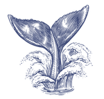 f1fc7972-e2f1-4a5b-bc1d-9b2c453d97f7_edi