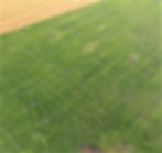 2022 "21. sajandi kroonikad moodsas kirjaviisis"