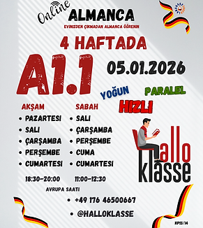 Almanca yoğun - hızlı - paralel kurs