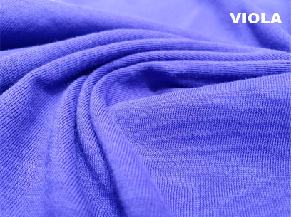 Miniatura: NON HAI VISTO MIA ZIA