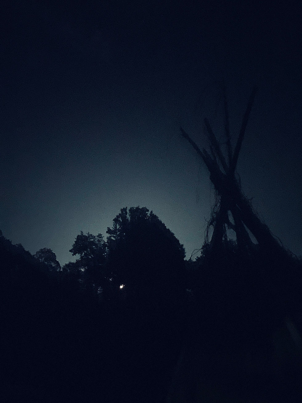 丘に上りかけの月と、お庭のティピ。