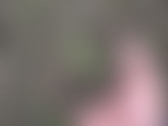 畑