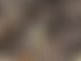 感謝