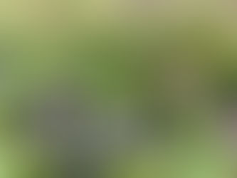あたえる