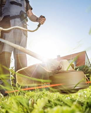 Lawn Care