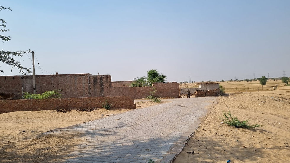 An ecosystem approach: A date palm processing factory