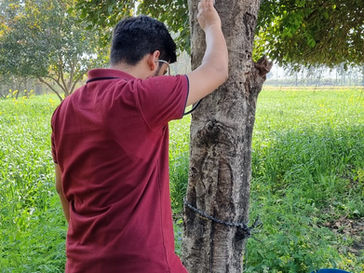 AgriSciense tree doctor