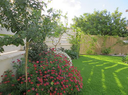 גינה בגבעת אלה