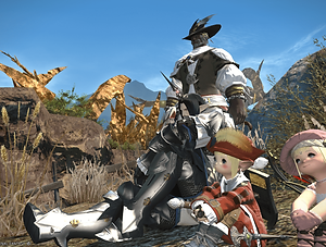 ffxiv_20130623_175402.png