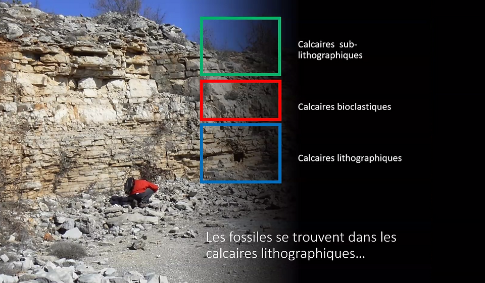 © Karin Peyer et Vincent Reneleau