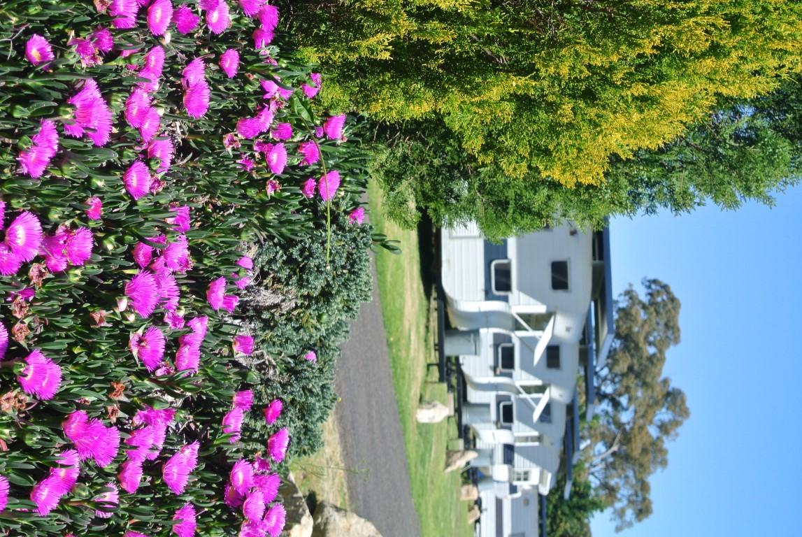 Blue Topaz Caravan Park Stanthorpe
