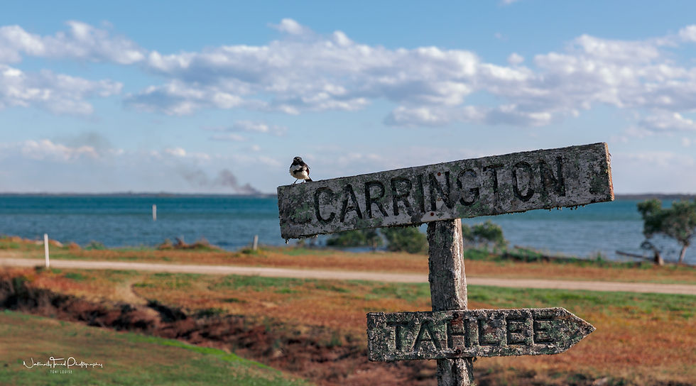 Back in time 18 August 2018