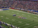 Bills vs Packers - NFL 2014