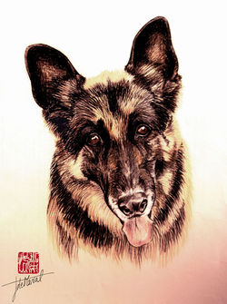 Berger Allement 30 x 40 cm