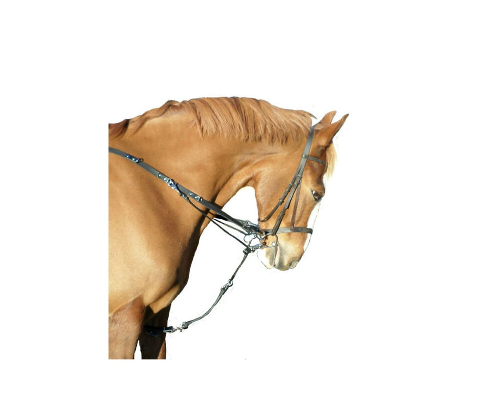 Balancing Rein (Abbot Davies style) With full Super grip rubber Reins
