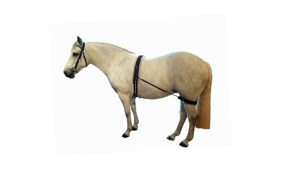 Hock Elevation Band With removable fleece sleeve