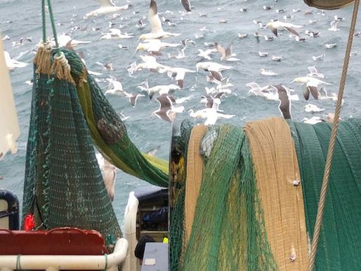 THE ROAD TO REDEMPTION - A ROAD LESS TRAVELLED?