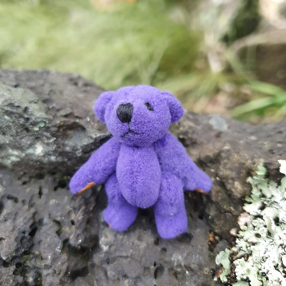 Thumbnail: Tiniest Teddy In the world