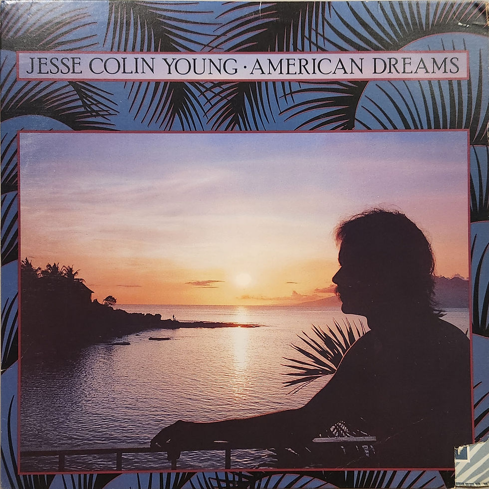 Jesse Colin Young - AMERICAN DREAMS