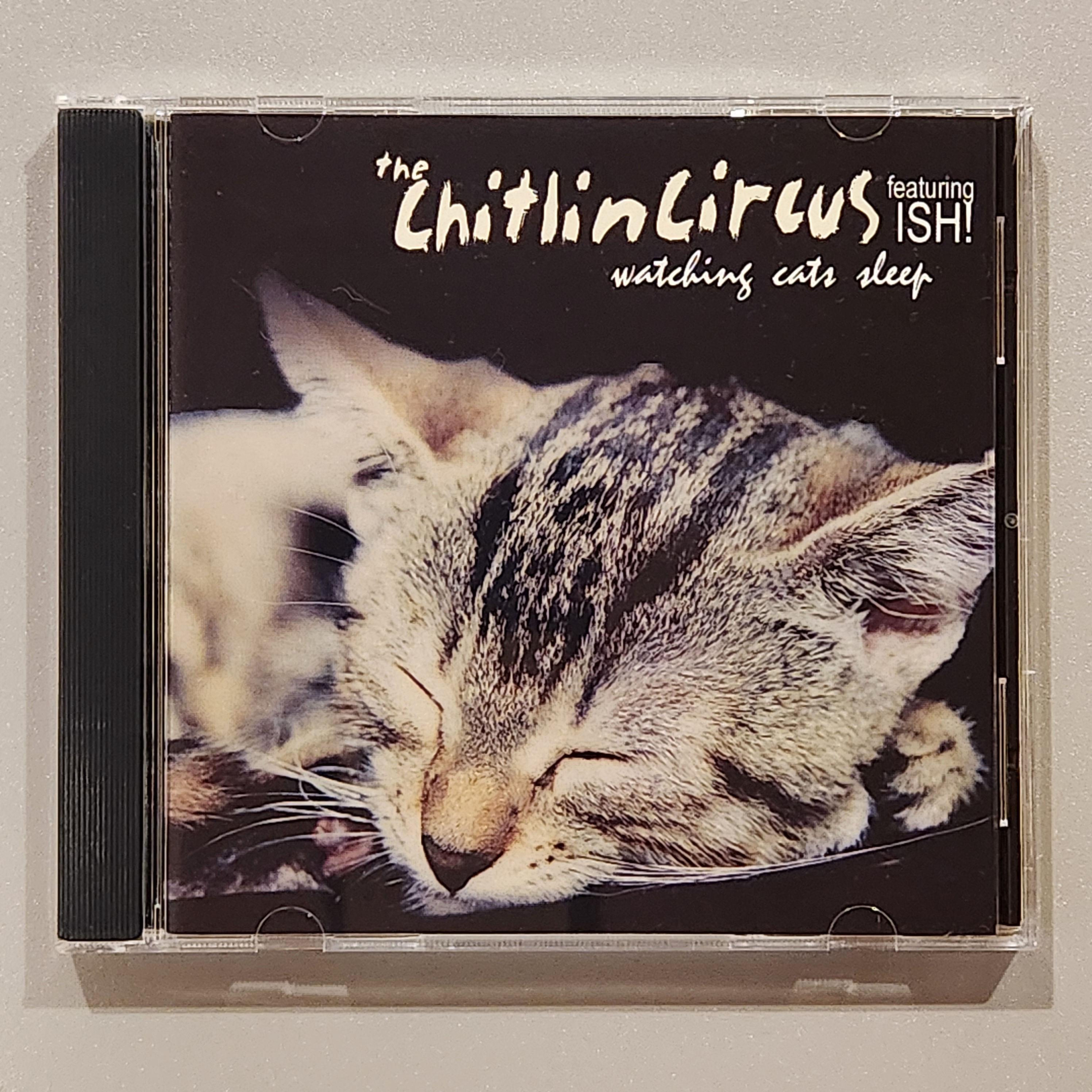 Chitlin Circus - WATCHING CATS SLEEP