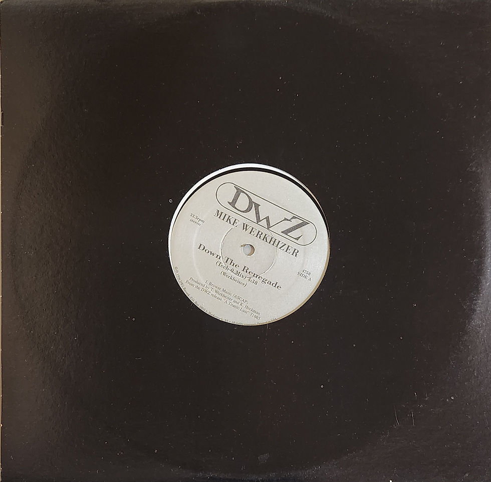 Mike Werkhizer - DOWN THE RENEGADE