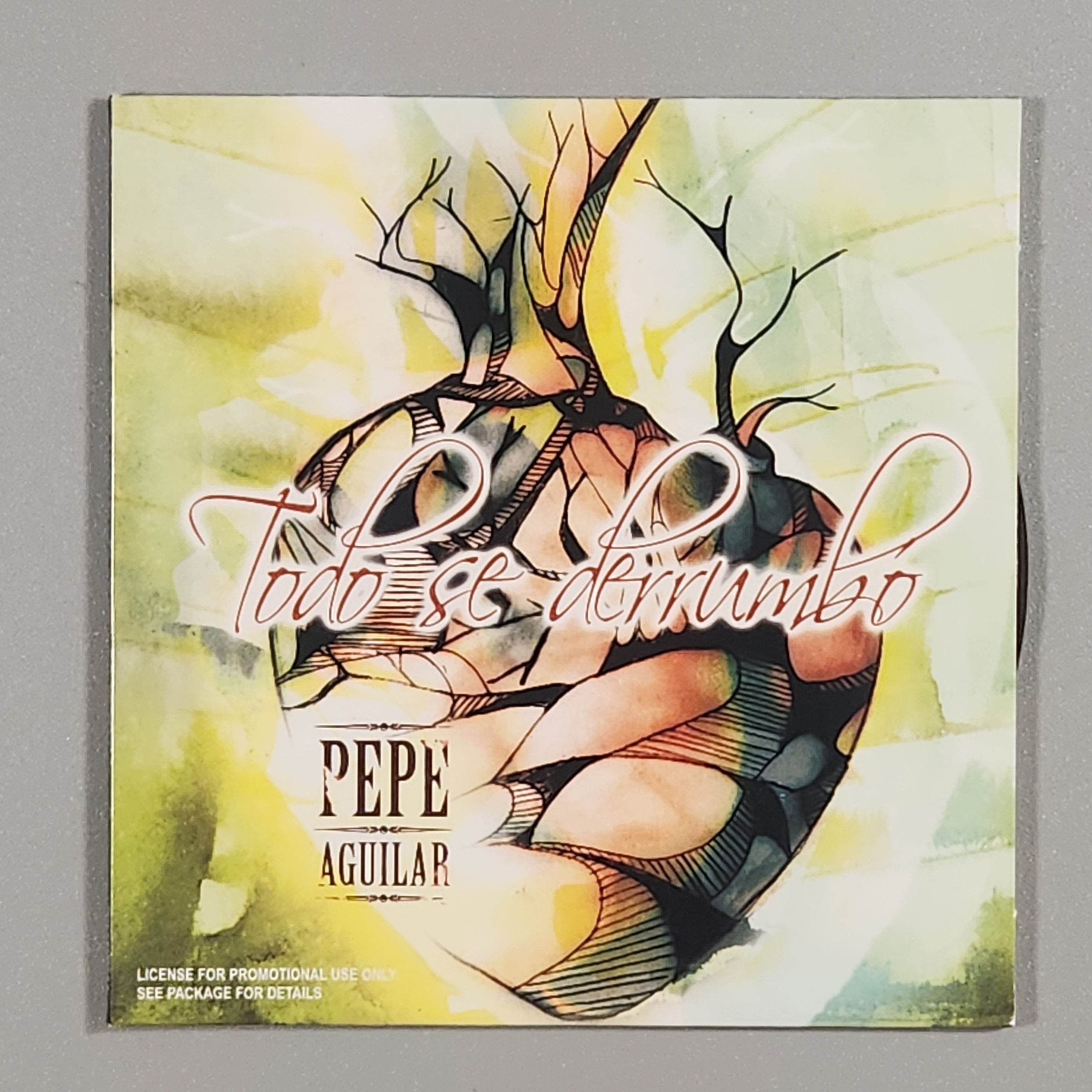 Pepe Aguilar - TODO SE DERRUMBO