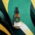 Amber glass Dayshift Tincture bottle with black dropper cap centered against a bold green and gold abstract leaf background.