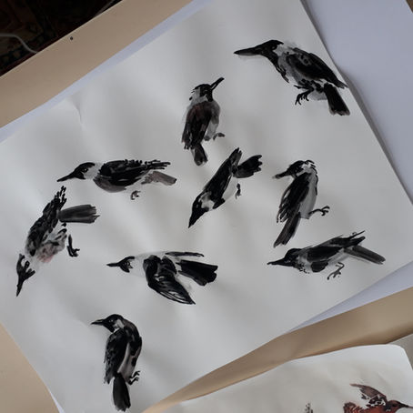 Avec Charlie Belin, la réalisatrice de Drôles d'oiseaux