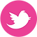 social_media_round_icons_pink_color_set_