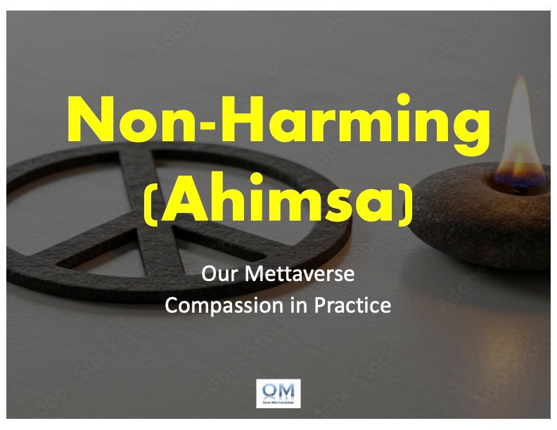 Non-Harming with Deniece Smith