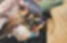 Thumbnail: Pull Through Kestrel Anklets