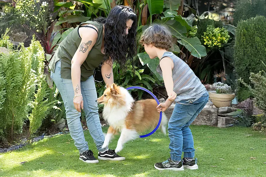 טיפול בקשיים התהגותיים לילדים - משה