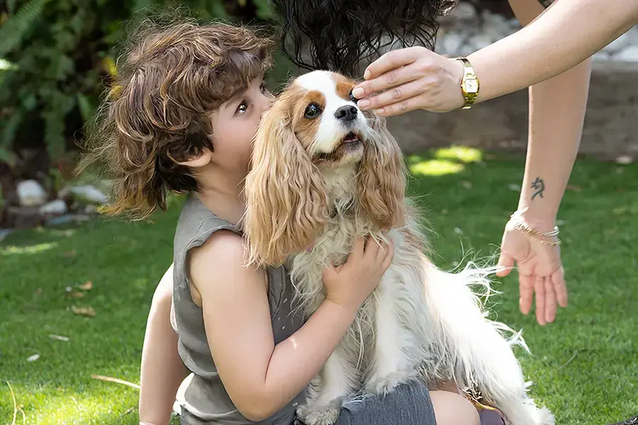 כלבנות טיפולים לילדים ונוער עם צרכים מיוחדים