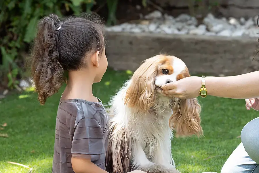 בוני בזמן טיפול לילדה הסובלת מצרכים מיוחדים