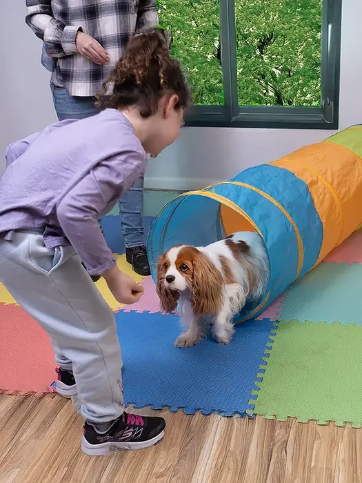 טיפול בקשיים התהגותיים בכלבנות טיפולית עם בוני