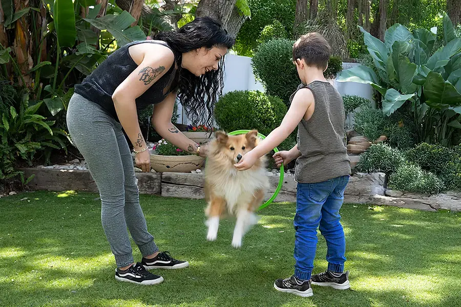 קיפר קופץ בחישוק כחלק מהטיפול בילד הסובל מצרכים מיוחדים
