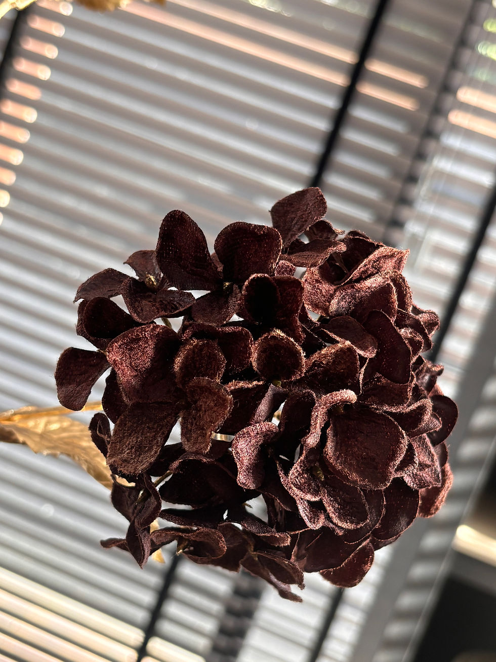 Thumbnail: Kunsttak Velvet Hydrangea | Dark Brown & Gold – 85 cm
