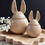 Thumbnail:  “Livia” Bunny Opbergpotjes Set – Aardewerk